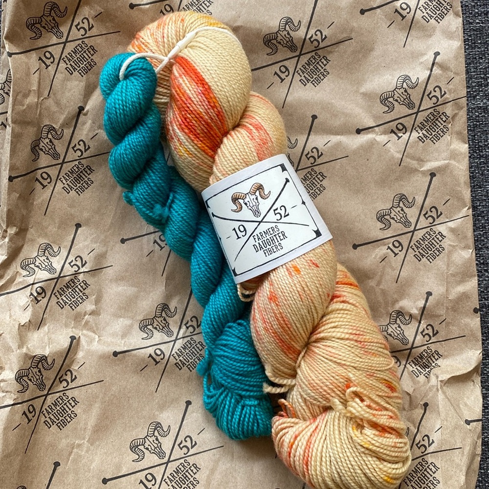 Farmers Daughter Fibers Sock Squad March 2025 yarn